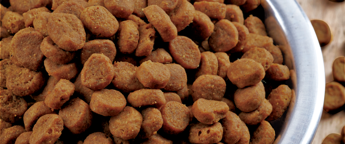 ingredients-pet-wants-charlotte