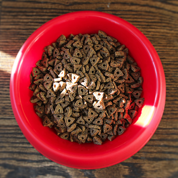 Home Pet Wants Charlotte