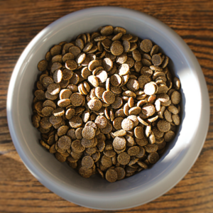 Pet Wants Charlotte Provides Grain Free Options - Whitefish and Duck Dog Food