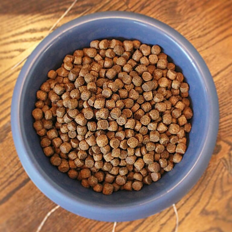 5 Pound Dog Food The Smart Choice for Your Canine Companions Nutrition 5 Pound Dog Food The Smart Choice for Your Canine Companions Nutrition
