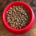 Pet Wants Charlotte Provides Gluten Free Formulas - Puppy Dog Food