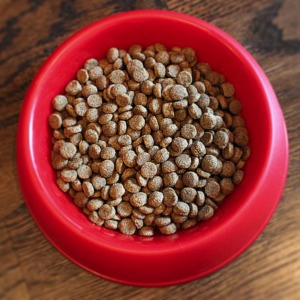 Pet Wants Charlotte Provides Gluten Free Formulas - Puppy Dog Food