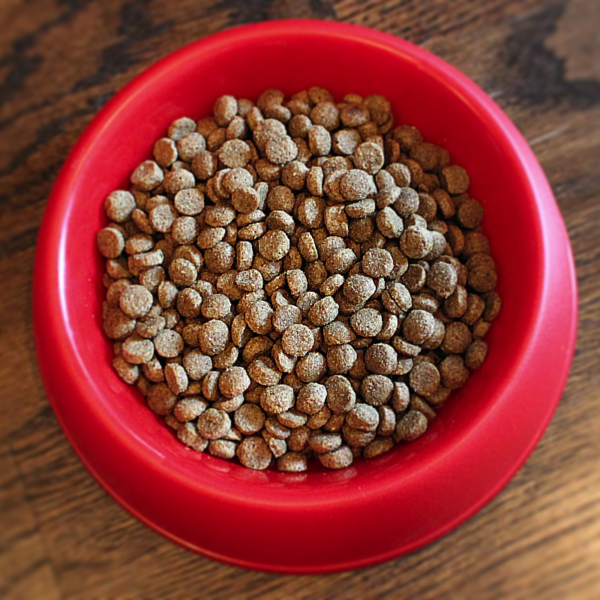 Pet Wants Charlotte Provides Gluten Free Formulas - Puppy Dog Food