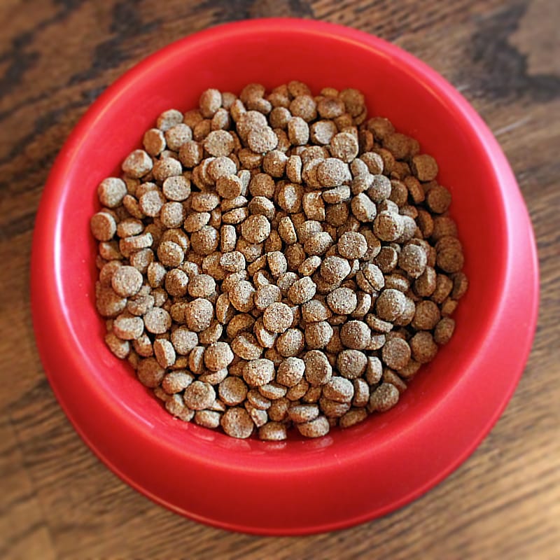 Pet food kibble sales