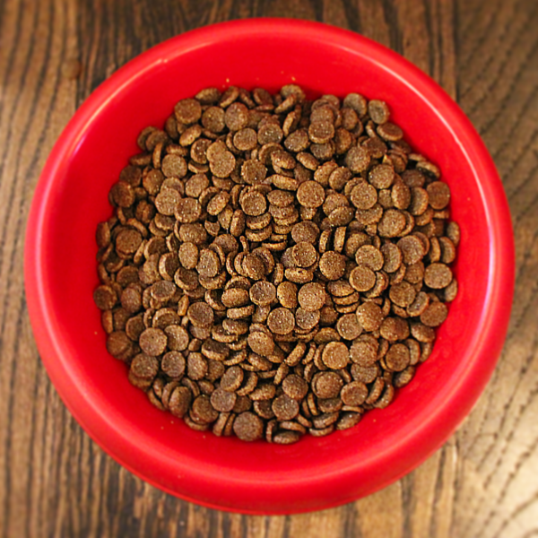 Salmon & Brown Rice Dog Food (per lb) Pet Wants Charlotte