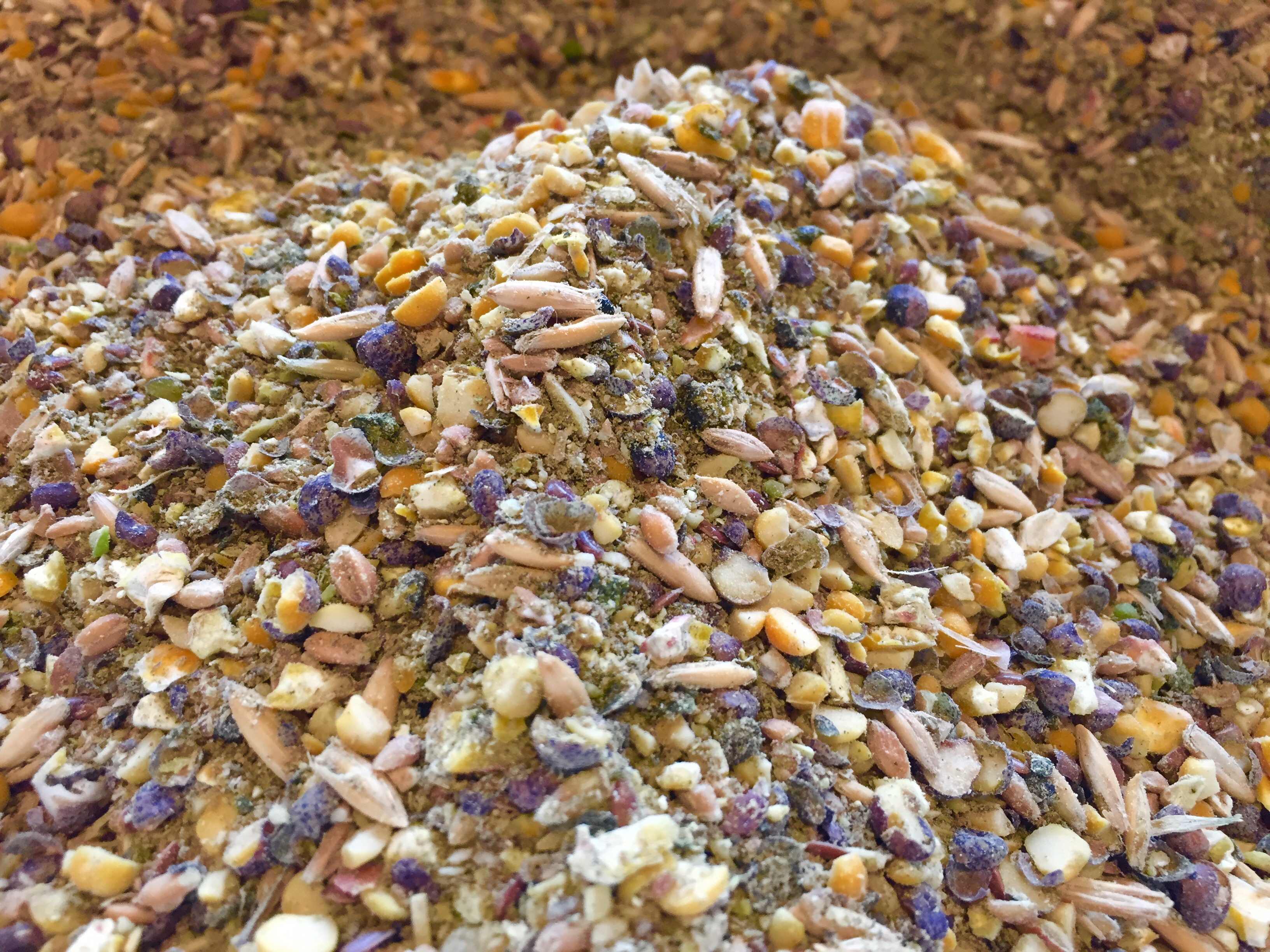 grower-chicken-feed-pet-wants-charlotte