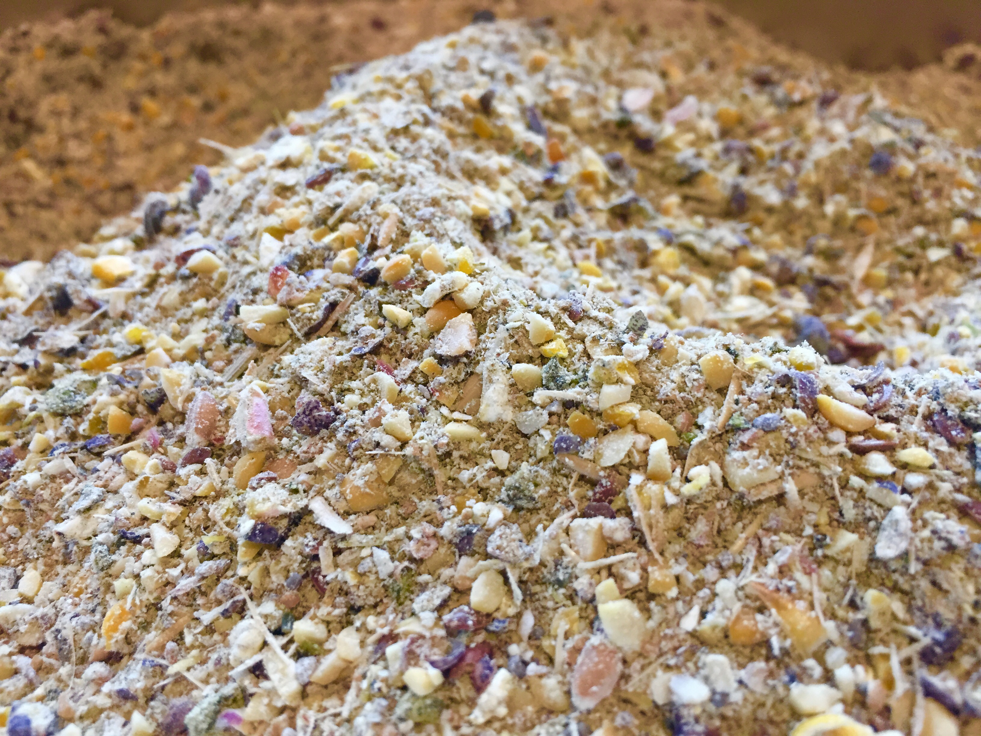 Starter Chicken Feed Pet Wants Charlotte starter-chicken-feed-pet-wants-charlotte