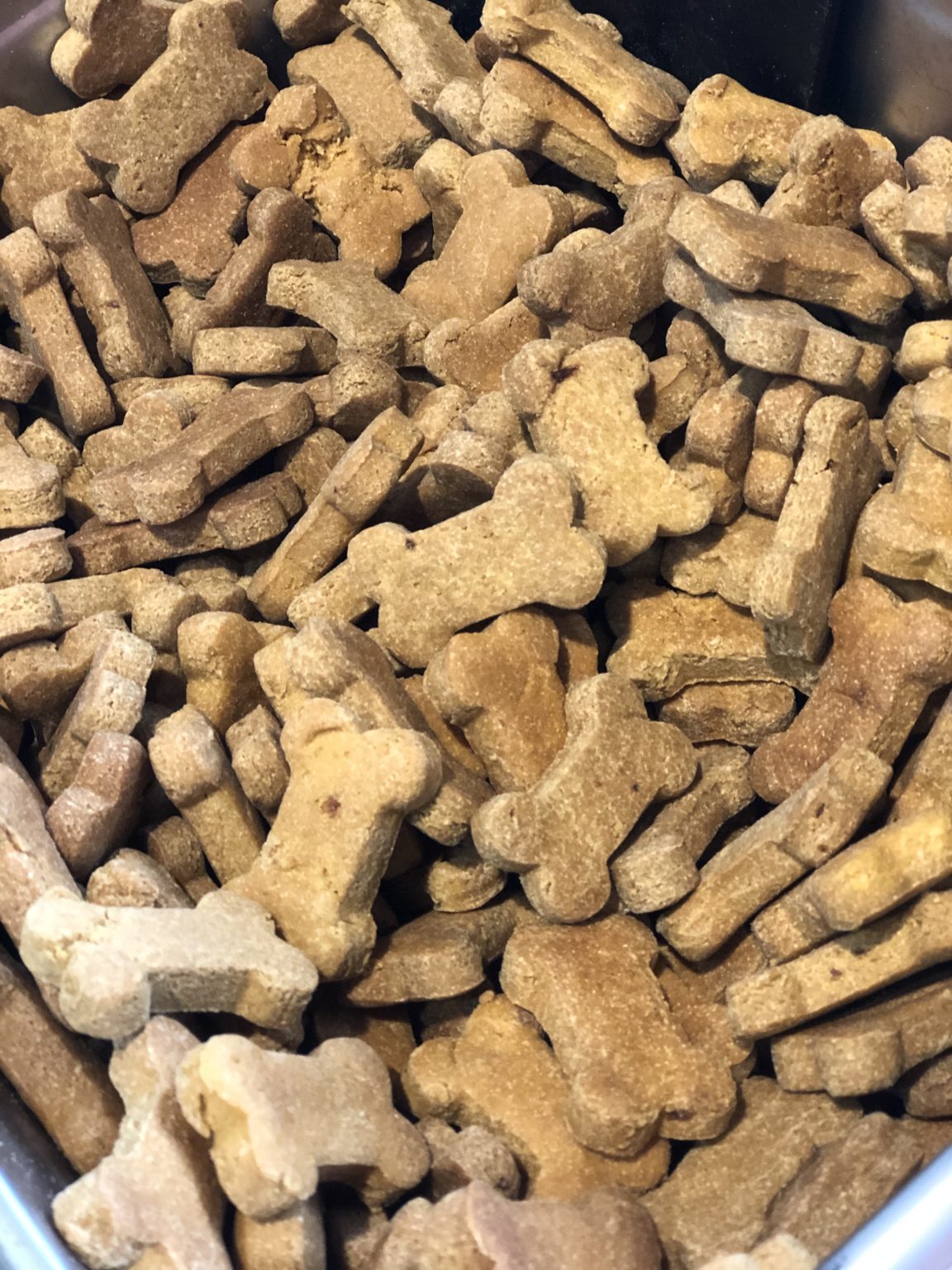 Natural GlutenFree Dog Biscuits Pet Wants Charlotte
