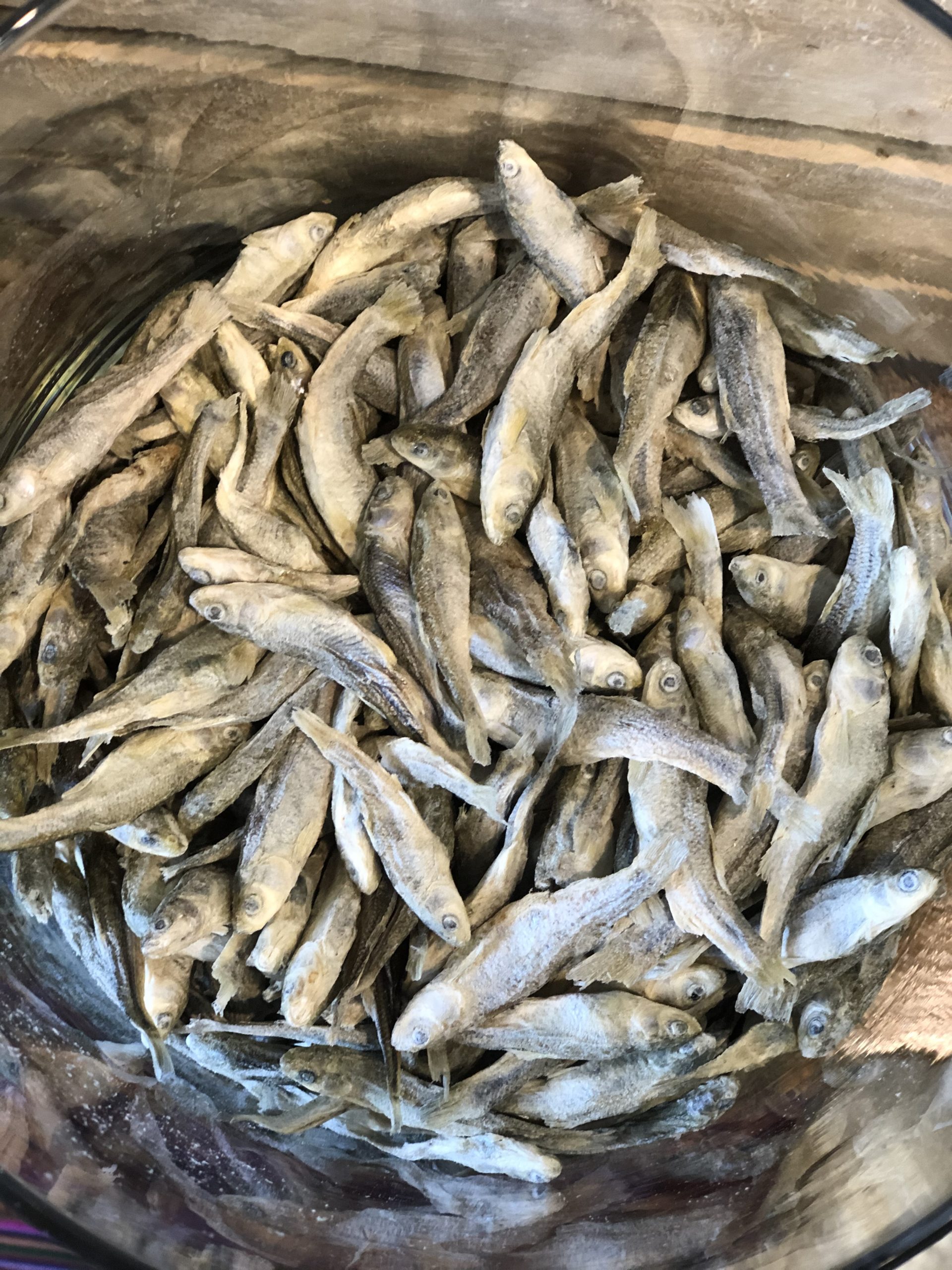 Freeze Dried Minnows (per oz)