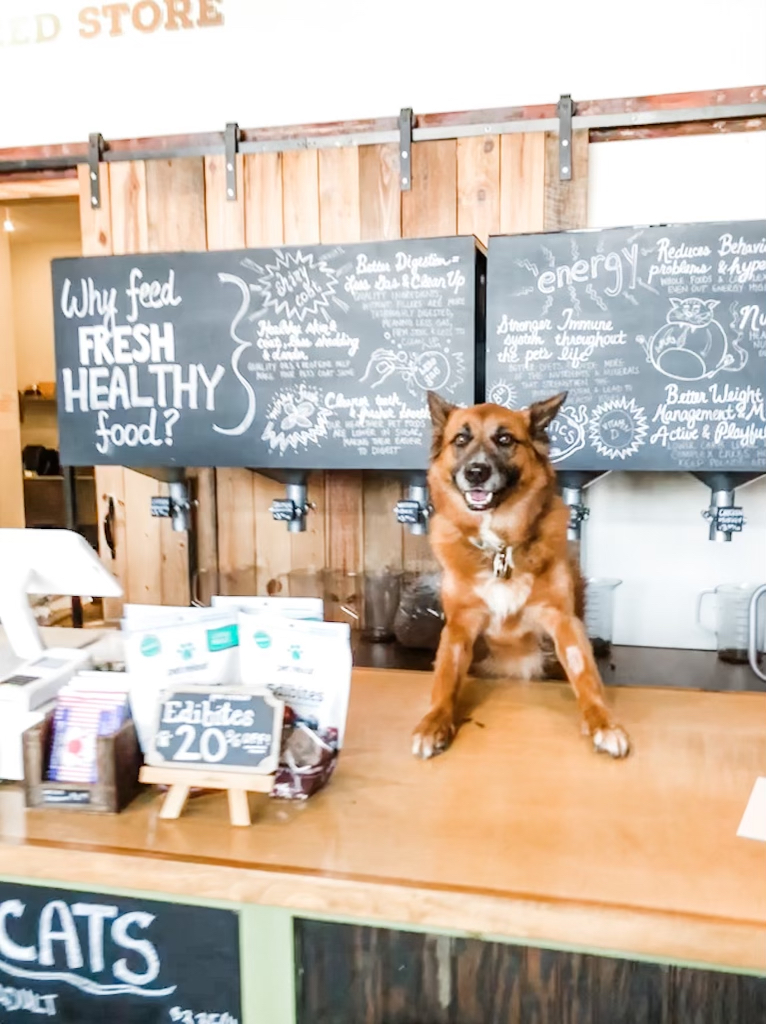 Contact Us Pet Wants Charlotte